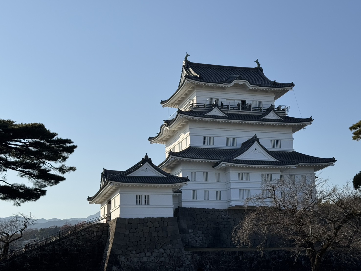 小田原でよく当たる占い館｜ほしよみ堂小田原店